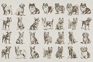 215 Dog Illustrations