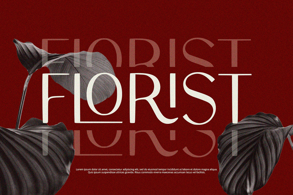Olario - Sans Serif Font, a Sans Serif Font by Alpaprana (Photo 3 of 11)