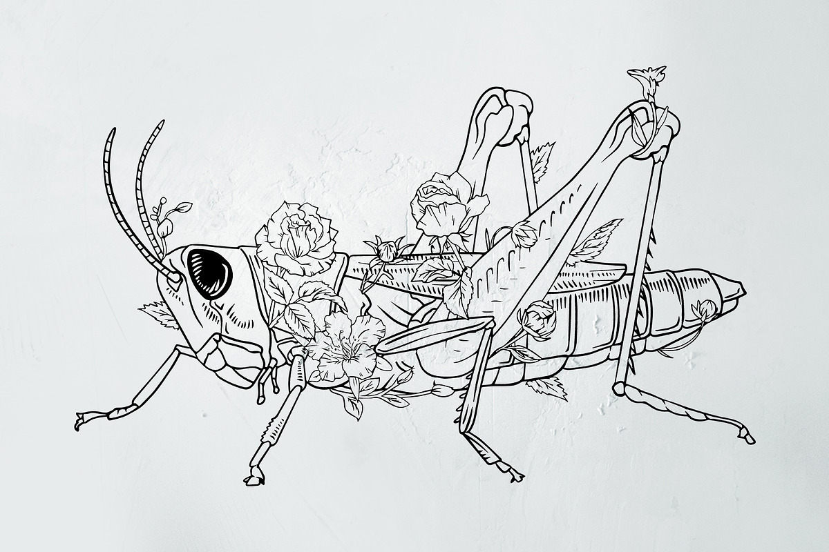 Grasshopper modern illustration, an Illustration by Infinity Creativity (Photo 2 of 4)