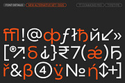 TT Commons Pro Expanded, a Sans Serif Font by TypeType (Thumbnail 5 of 6)