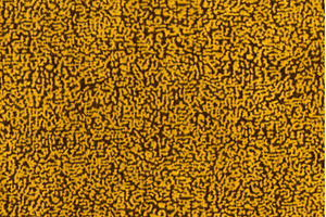 Golden color fabric material with, a Background Photo by Alexander-Piragis