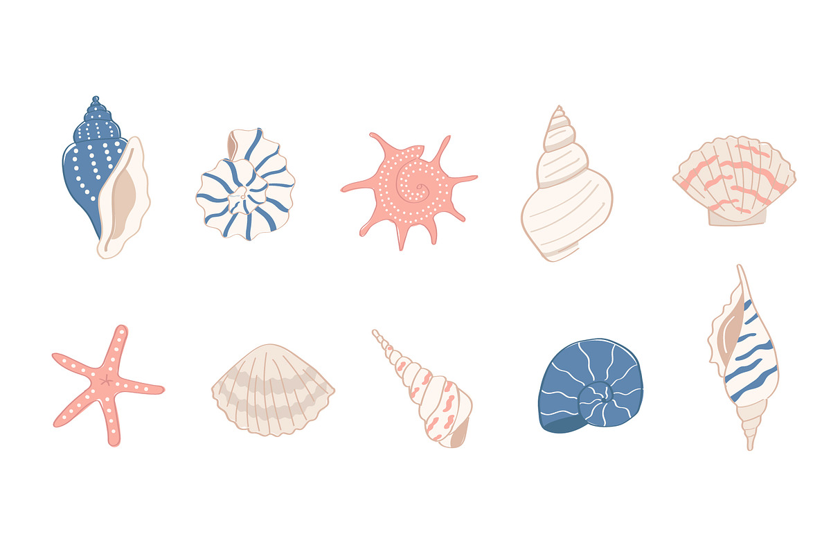 Coastal Shells Illustration Set, an Illustration by Milota (Photo 2 of 3)