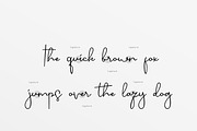 Sjover Handwritten Script Font, a Script Font by infernostudio3 (Thumbnail 9 of 10)