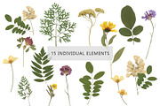 Pressed Dry Flowers & Leaves, an Object Graphic by Katya_lu (Thumbnail 8 of 8)