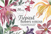 Set of transparent watercolor flower, a Decorative Illustration by RushkinaAntonina (Thumbnail 1 of 5)