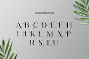 Elysium Luxury Serif Font, a Serif Font by UICreative (Thumbnail 3 of 5)