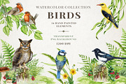 Woodland Animals Watercolor Clipart, an Animal Illustration by AnitaPol (Thumbnail 4 of 17)