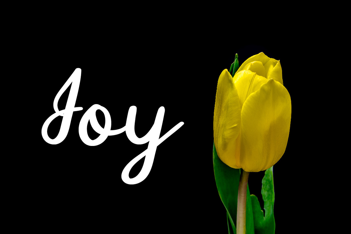 Manee Handwritten Typeface preview 8