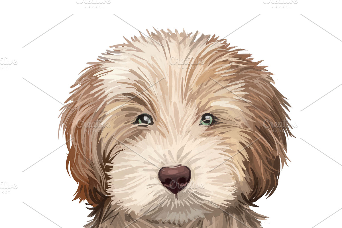 Dogs Cross Breeds 56 Animals Bundle, an Animal Illustration by Dneprstock (Photo 3 of 55)