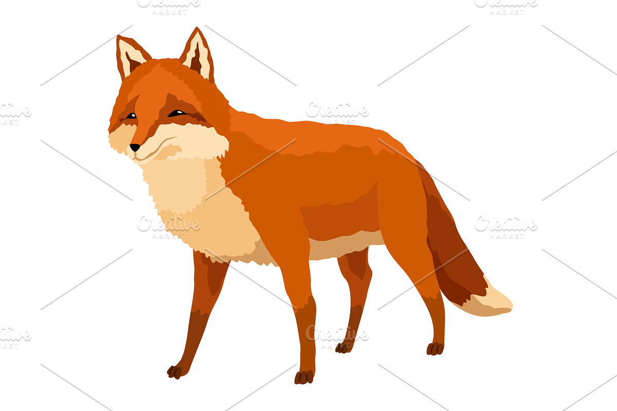 Red fox. Funny character, forest, an Animal Illustration by the8monkey
