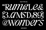 TAN - ARCHIEVE, a Serif Font by TanType (Thumbnail 7 of 11)