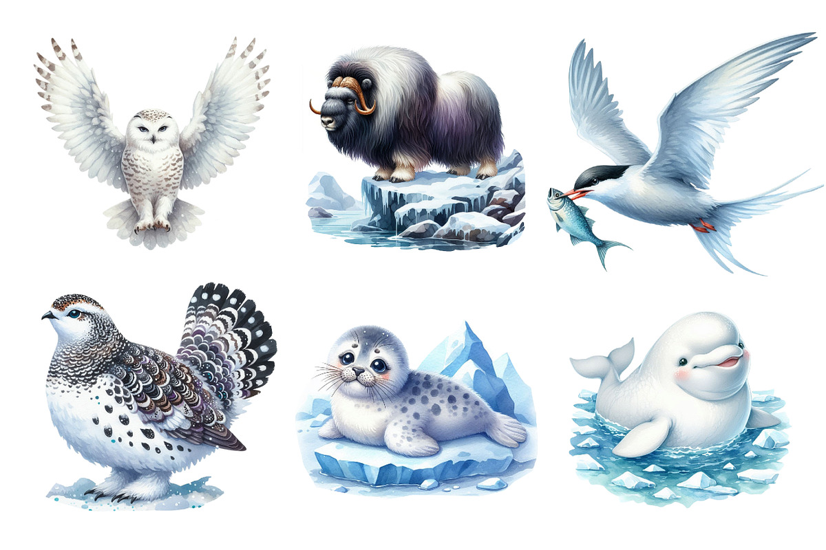 Watercolor Arctic Animals Clipart, an Illustration by Dream Creation (Photo 3 of 8)
