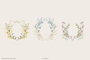 WILDER GARTEN delicate whimsy floral, a Decorative Illustration by January Bloom (Thumbnail 9 of 27)