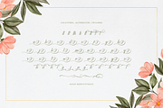 Harvintelis | Beauty Calligraphy, a Script Font by Denustudios (Thumbnail 12 of 12)