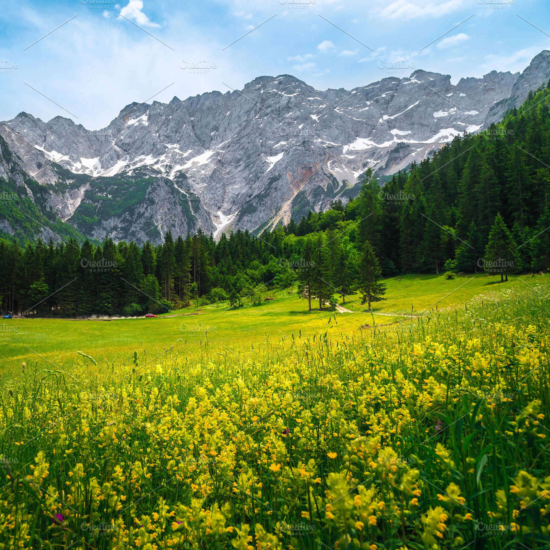 Alpine scenery with wild flowers, a Nature Photo by Alpine Dreams