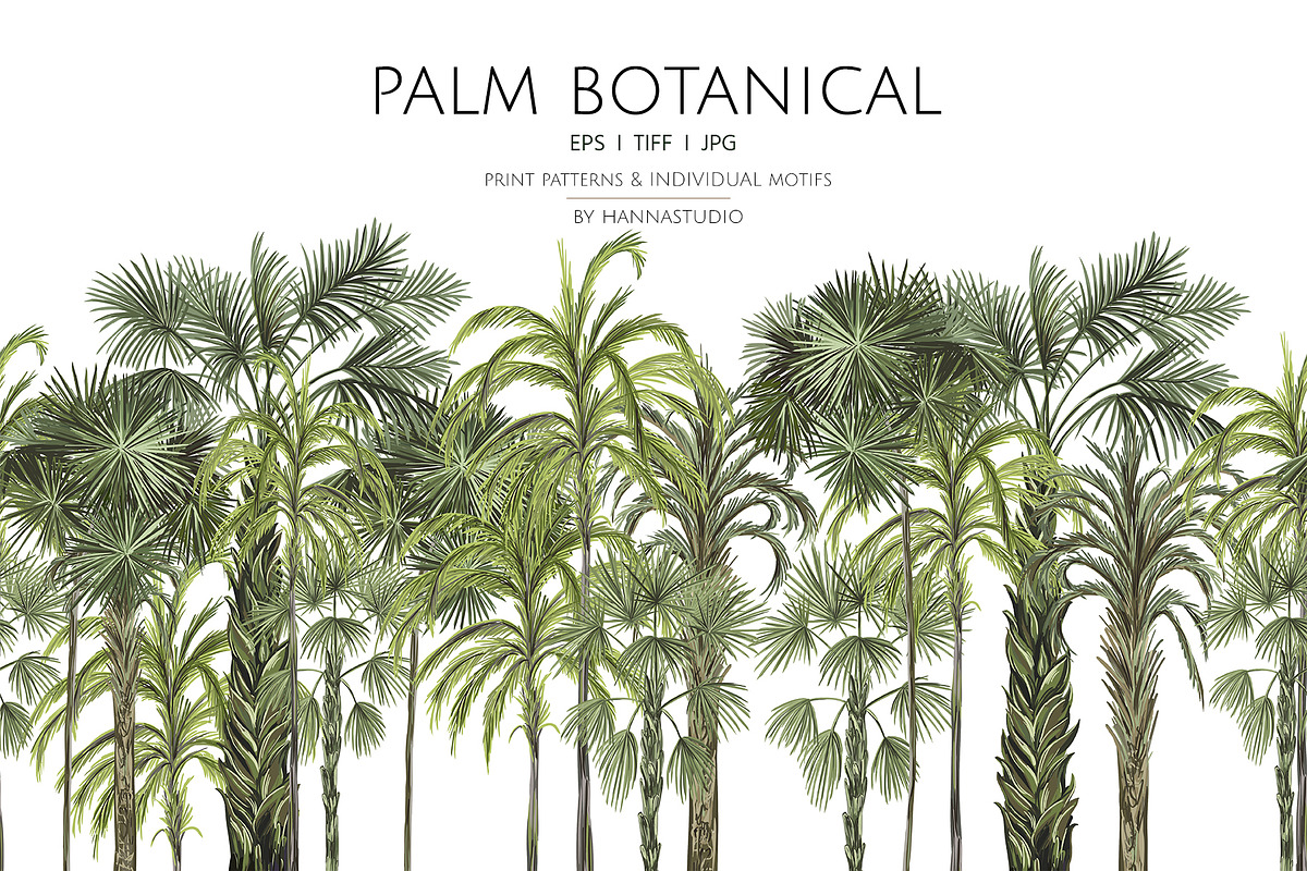 PALM BOTANICAL, a Pattern Graphic by HannaStudio (Photo 1 of 6)