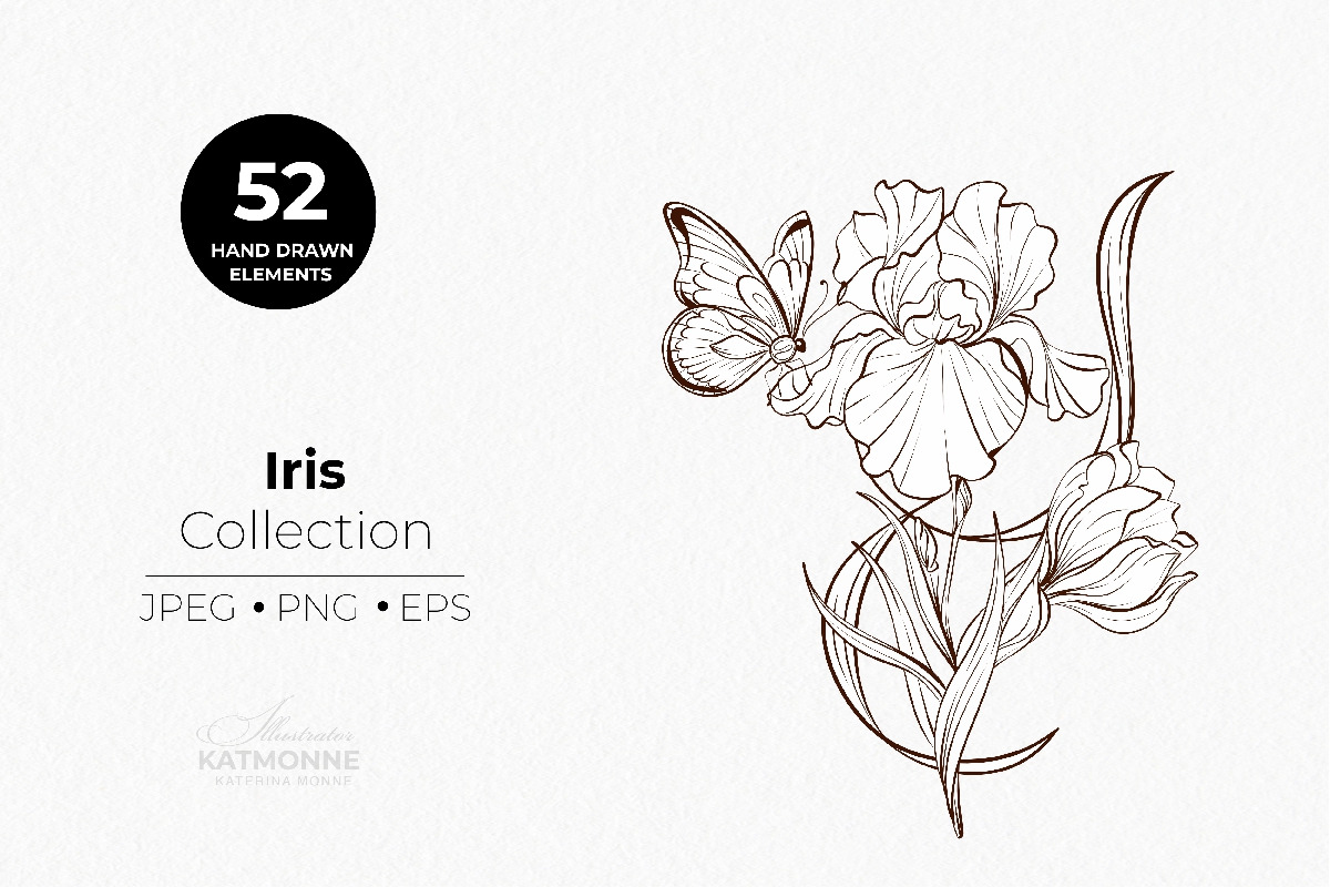 Iris Botanical Line Floral Vector, a Decorative Illustration by katmonne (Photo 4 of 14)
