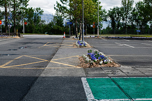 Urban parking lot with blooming flowers in Reykjavik, Iceland, under cloudy ski, a Photo by AS photostudio