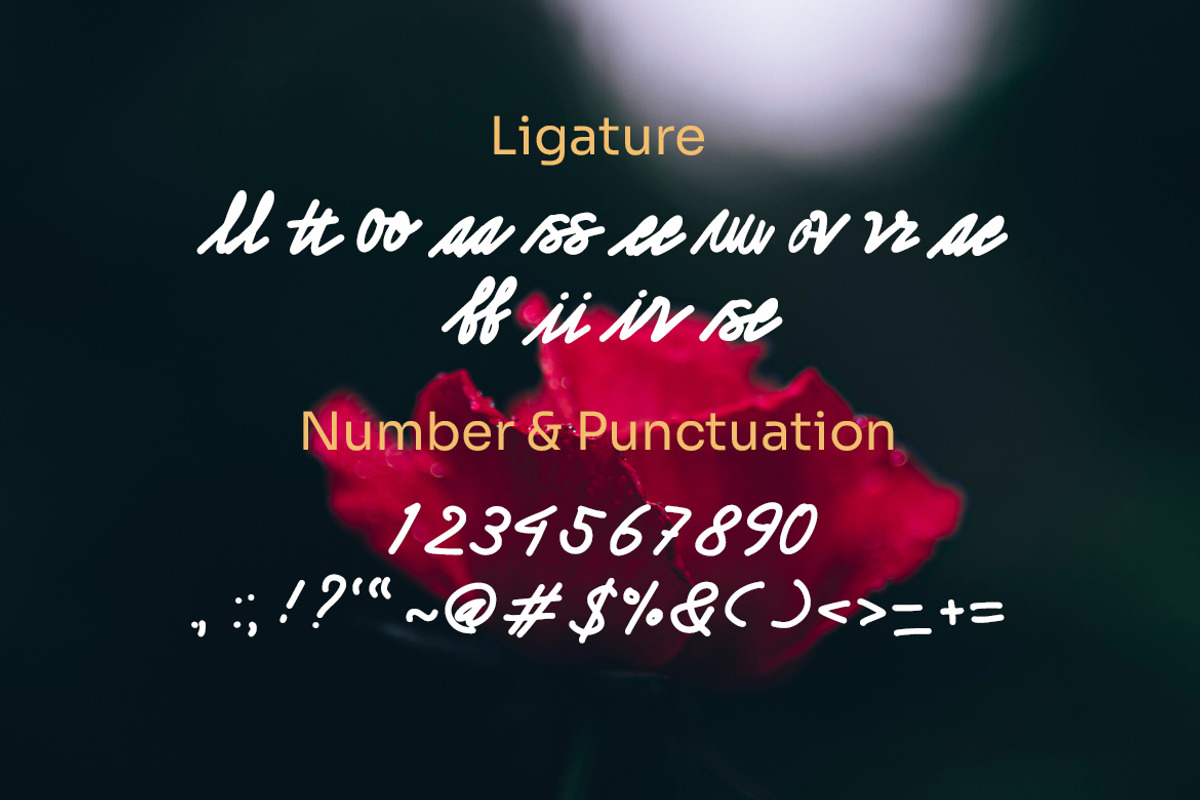Bagitto Herros- Handwritten Font, a Handwritten Font by Dhabee (Photo 5 of 8)