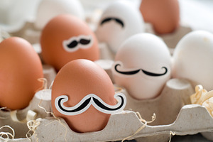 Hipster egg stock picture