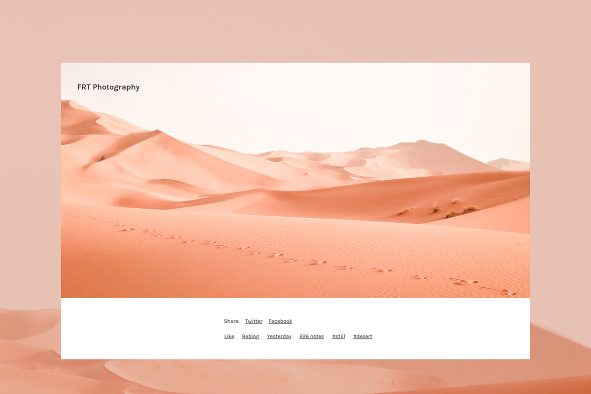 Elissa Side, a Websites & App Template by SideThemes (Photo 6 of 6)