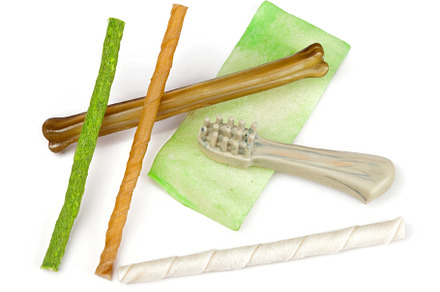 Dog dental hygiene products including bones, snacks and toothbrush promoting ca