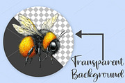 Whimsical Bee Spring Clipart Bundle, an Illustration by Canvas Craft (Thumbnail 2 of 7)