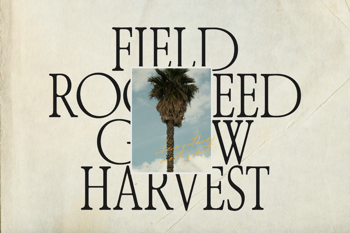 The Old Bros Oskon 90s Vintage Serif, a Serif Font by zelow type (Photo 6 of 11)