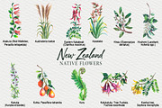 New Zealand native flowers, a Decorative Illustration by FITALARTSNEDIGI (Thumbnail 2 of 6)