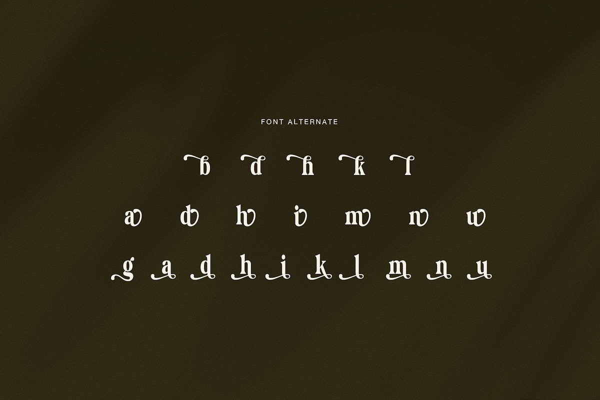 Hibrida Bold Serif Font, a Serif Font by Perfectype (Photo 8 of 8)