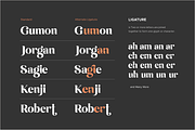 Emirates - Beautiful Curved Font, a Serif Font by Sensatype (Thumbnail 20 of 25)