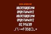 Holifall Autumn - Tropic Font, a Sans Serif Font by Iqsiart Studio (Thumbnail 5 of 6)