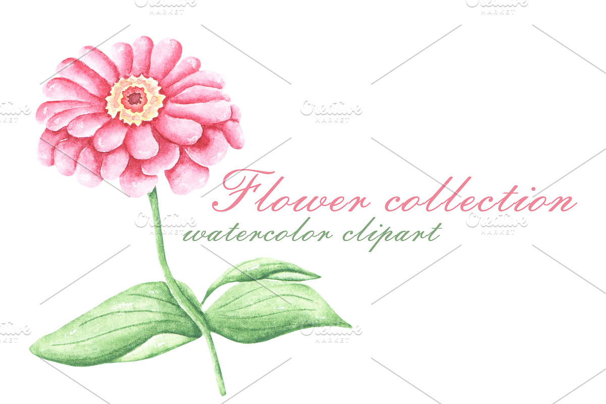 Blooming flowers watercolor clipart., an Illustration by SabinaWatercolorArt (Photo 6 of 8)