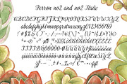 Perron, a Script Font by Fontforecast (Thumbnail 6 of 9)