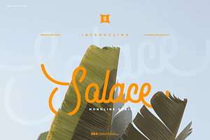 SOLACE MONO - Monoline Script