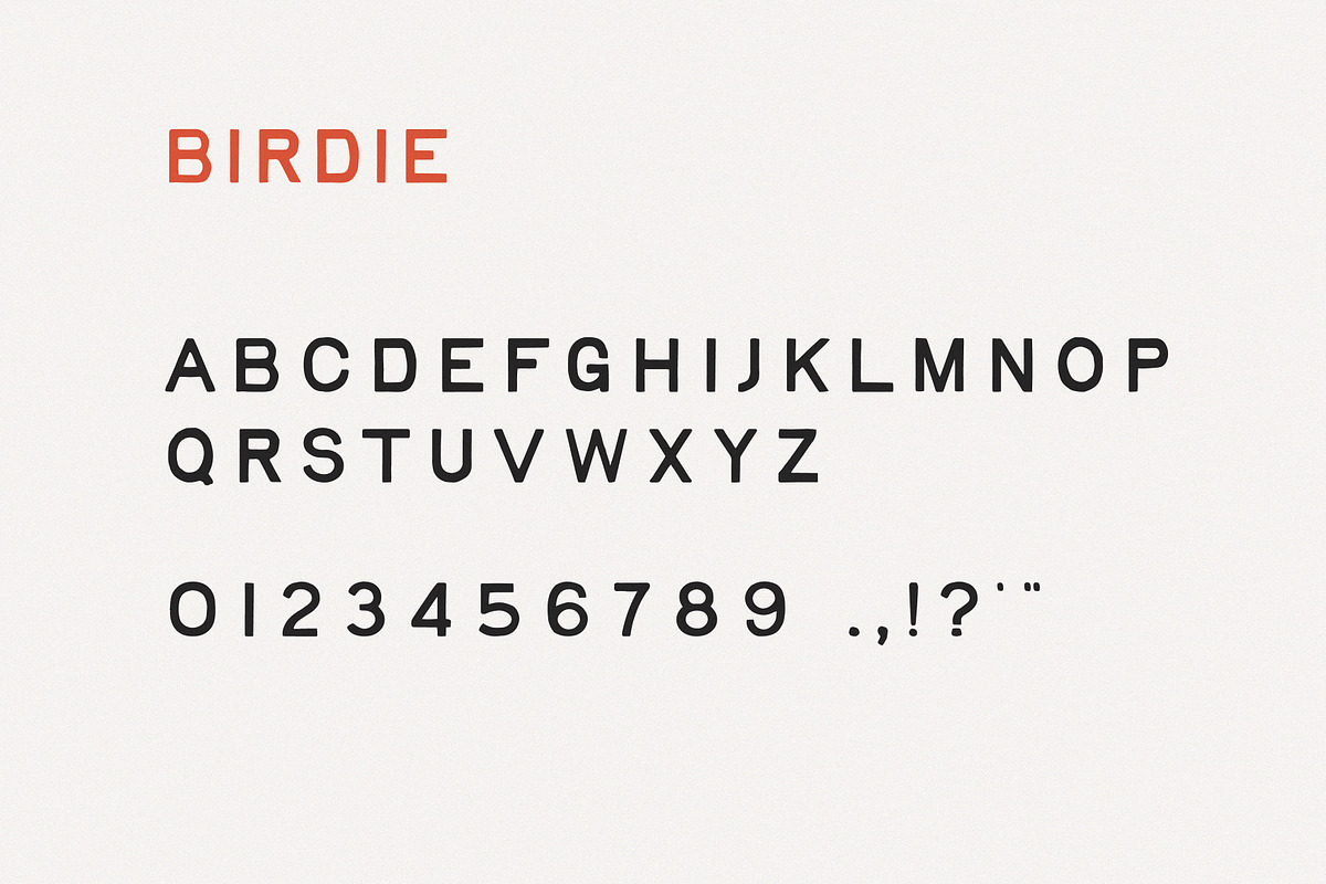 Birdie | Vintage Print Font, a Handwritten Font by Taylor Penton (Photo 6 of 6)