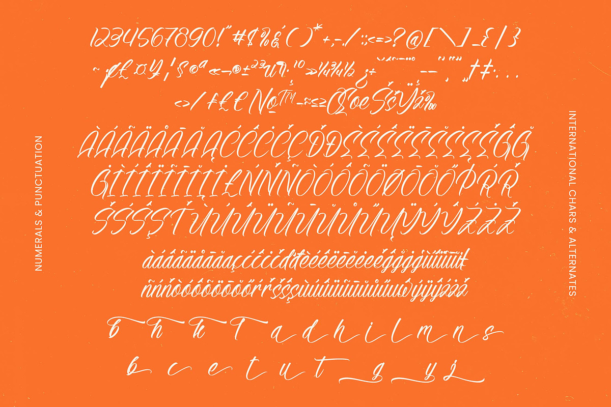 Alesteny Pojharu Handwritten Ink, a Script Font by stylishtype.co (Photo 19 of 20)