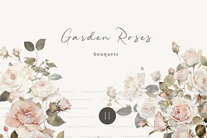 Garden Roses