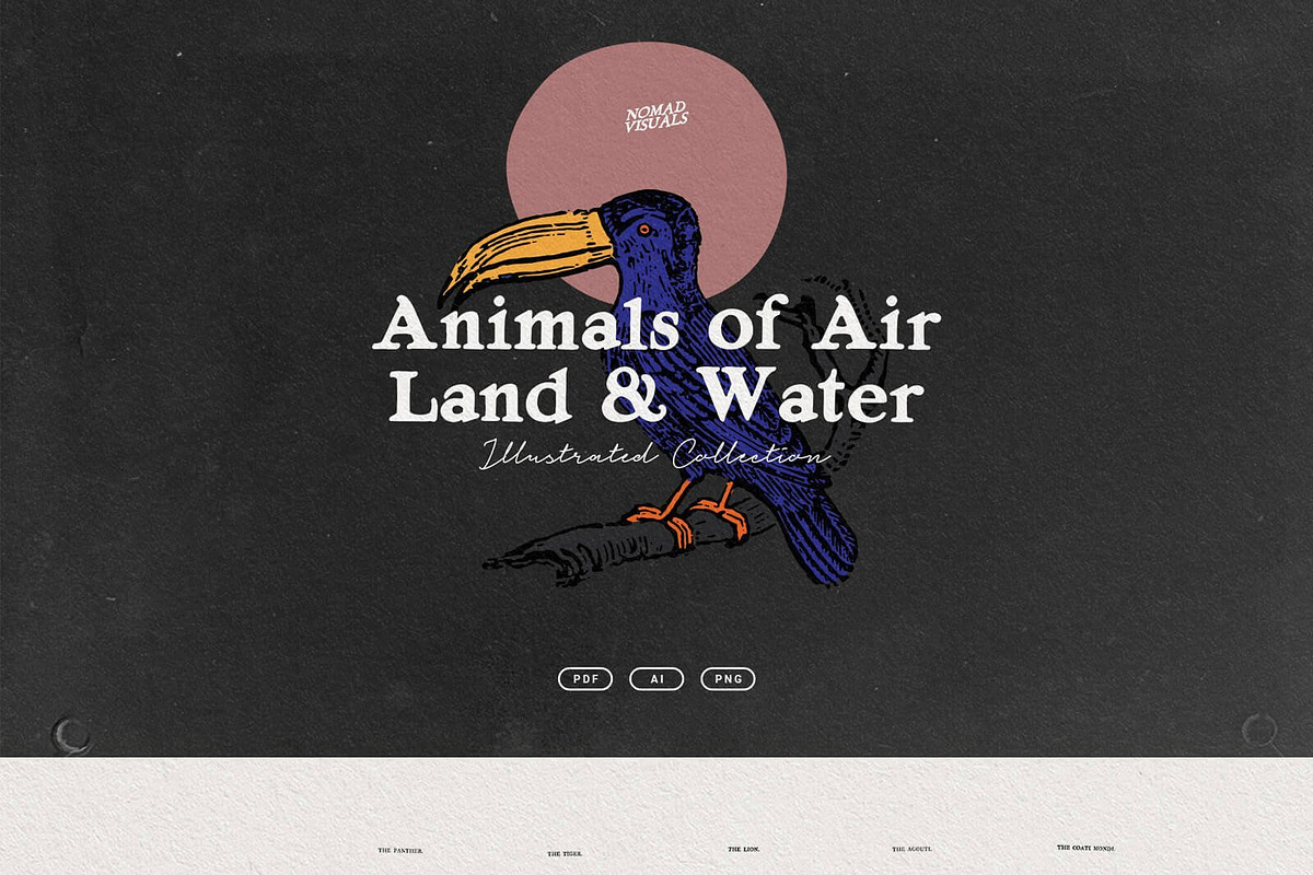 The Vintage Bundle, an Object Graphic by Nomad Visuals (Photo 19 of 45)