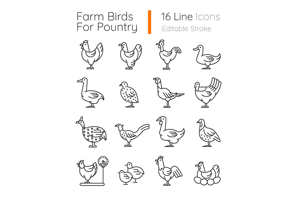 Farm birds for poultry icons set, an Outline Icon by IMG Visuals
