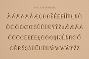 50% OFF Boldatin Font Family, a Slab Serif Font by Patria Ari (P4tcreativa) (Thumbnail 11 of 12)