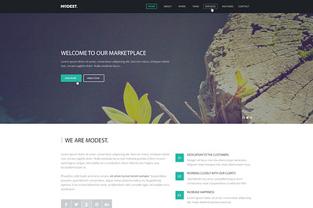 Modest – Responsive Landing Page