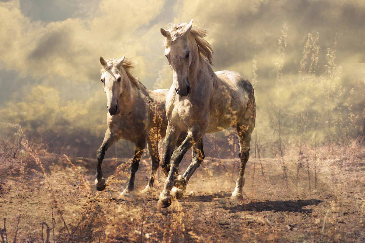 14 Landscape Sensation Presets, a Preset Add-On by Timeless Presets (Photo 11 of 13)