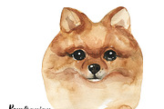 Breeds of dogs - watercolor. Part 2, an Animal Illustration by KatBranchArt (Thumbnail 2 of 5)