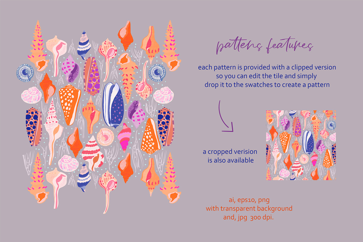 seashells collection, a Texture Illustration by Mona Ahmed (Photo 8 of 10)