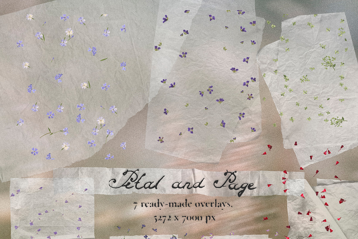 Petal & Page - Paper and Fowers, an Object Graphic by Watercolor_Ma (Photo 2 of 7)