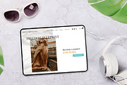 Freedom Blueprint – WP Blog Theme, a WordPress Template by Your Theme Shop (Thumbnail 8 of 9)