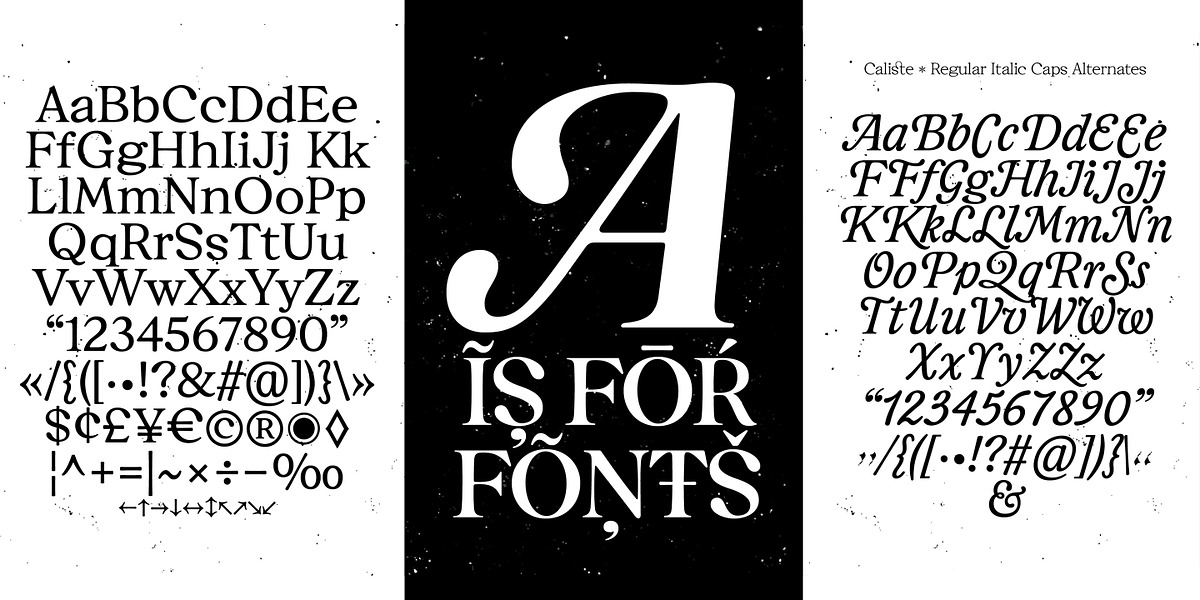 Caliste Text, a Serif Font by A is for... (Photo 9 of 10)