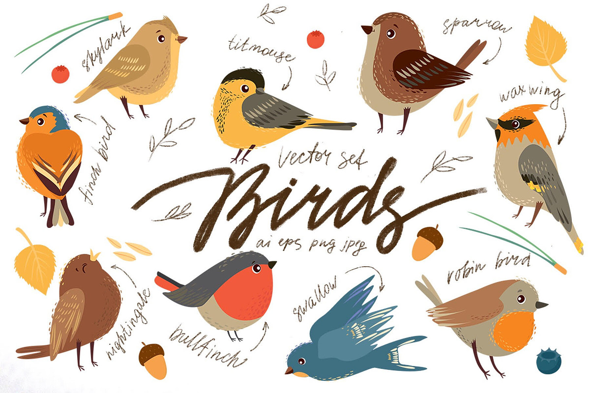 Bird illustration. Vector set, an Animal Illustration by Lesya Skripak (Photo 1 of 3)
