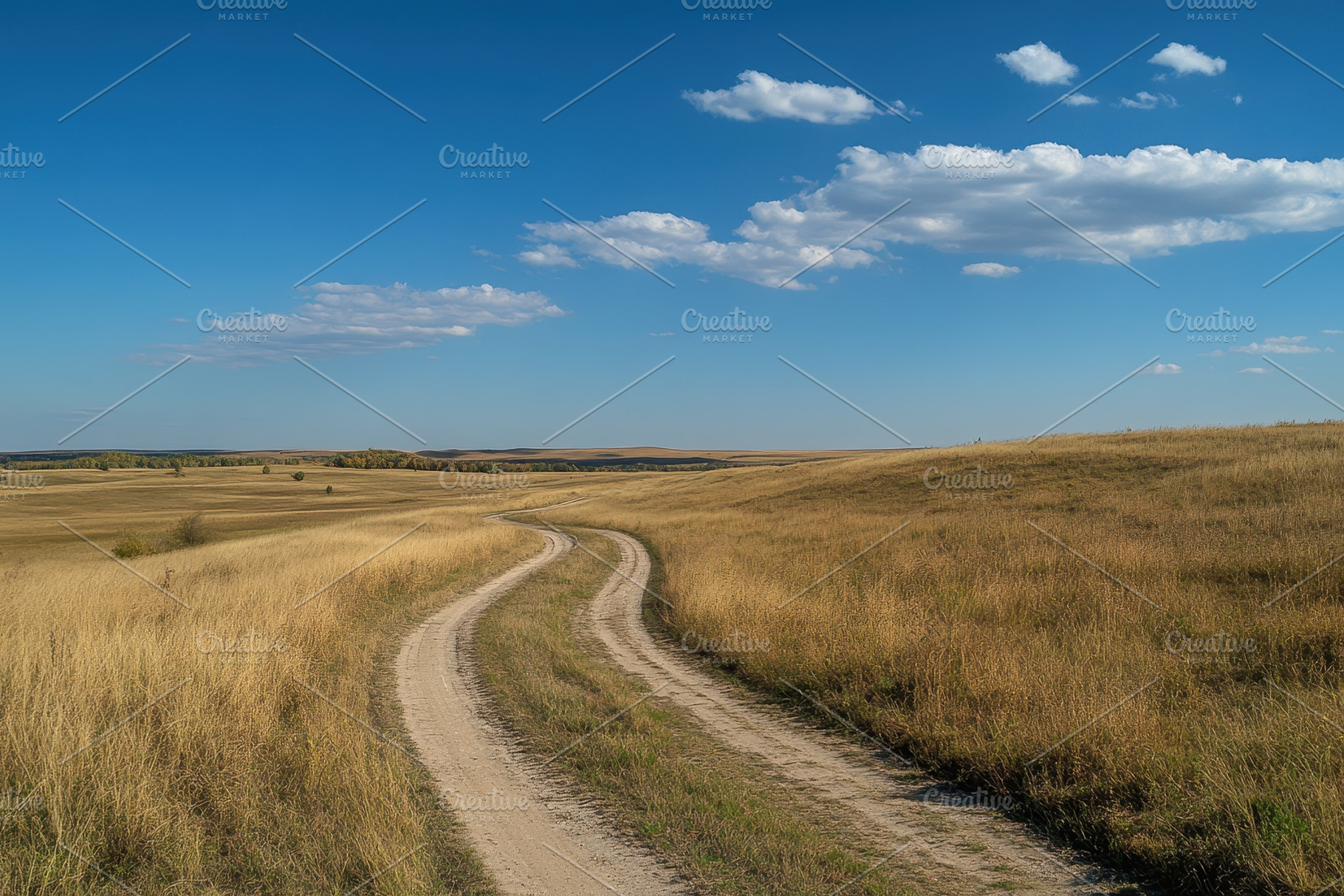 Curving Dirt Path Through Golden Gra, a Photo by Tanuart